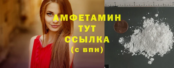 шишки Абаза
