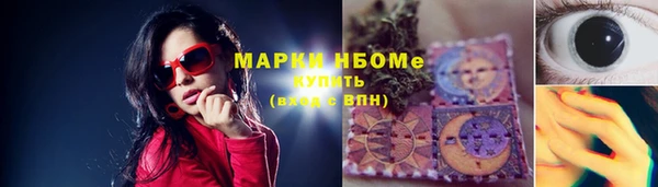 шишки Абаза