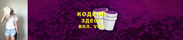 шишки Абаза