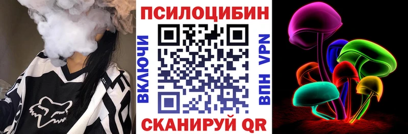 сколько стоит  Дивногорск  даркнет официальный сайт  Псилоцибиновые грибы Psilocybe 