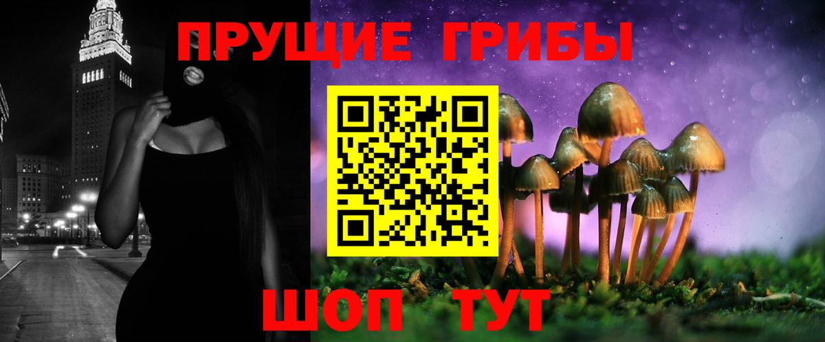 как найти наркотики  Псилоцибиновые грибы мицелий  Вход с VPN  Дивногорск 